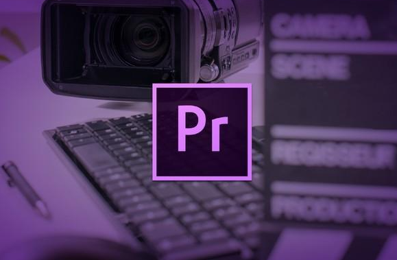 Adobe Premiere Pro 2024(简称PR2024破解版)-沐石林之家源码网